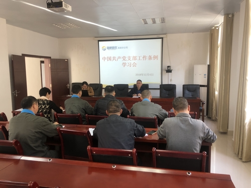 謝顏果：龍巖分公司組織開展《中國共產(chǎn)黨支部工作條例》學(xué)習(xí)會(huì).jpg