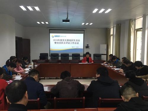 鐘林琳：龍巖分公司機關一支部召開2018年度黨支部組織生活會暨評議黨員會議.jpg