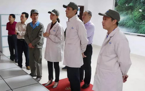 （采用）吳瑤：省工信廳裝備處尹斌處長(zhǎng)等一行6人蒞臨龍巖分公司調(diào)研指導(dǎo)_調(diào)整大小.jpg