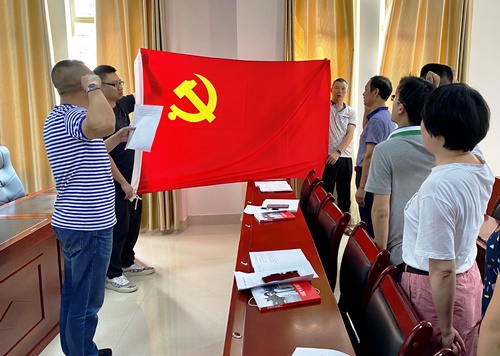 吳瑤：龍巖分公司機關二黨支部重溫入黨誓詞.jpg