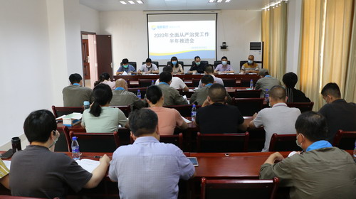 （建議采用）吳瑤：龍巖分公司黨委召開(kāi)2020年全面從嚴(yán)治黨工作半年推進(jìn)會(huì)_調(diào)整大小.JPG