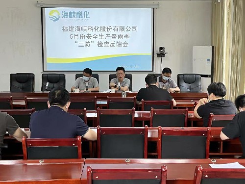 g龍巖分公�?郭芳�?海峽科化公司黨委副書記、總經(jīng)理顏建議到龍巖分公司開�?月份安全生產(chǎn)暨雨季“三防”檢查~1.jpg