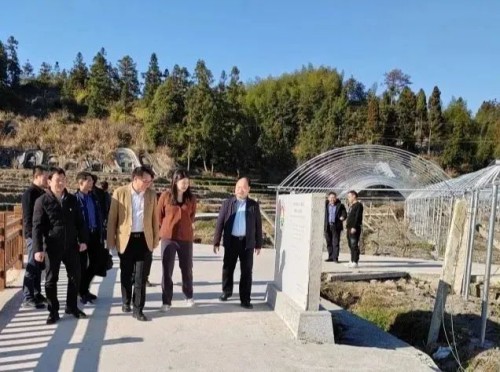 海峽科化公司黨委書記、董事長吳彩洪到福安市城陽鎮(zhèn)仙嶺村調(diào)研鄉(xiāng)村振興工作并慰問駐村干部2.jpg