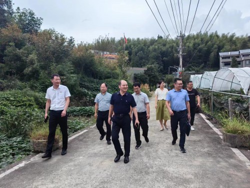 格式工廠福安黃曉志：圖為省機電控股公司黨委委員、副總經(jīng)理吳大文到福安市仙嶺村開展鄉(xiāng)村振興工作調(diào)�?(2).jpg