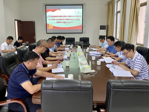格式工廠龍巖分公�?吳瑤+龍巖分公司黨委召開學習貫徹習近平新時代中國特色社會主義思想主題教育專題民主生活�?.jpg