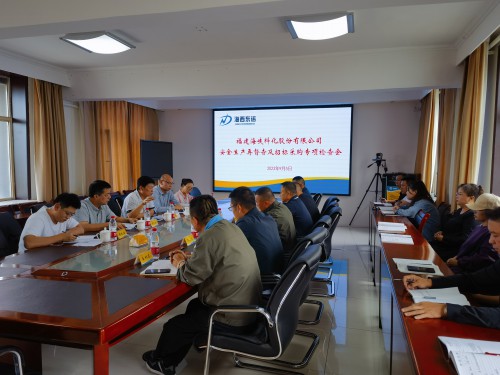 格式工廠海峽科化公司紀委書記何浦寨一行到青海海西東諾公司開展安全生產(chǎn)再督查及招標采購專項檢查會現(xiàn)場1.jpg